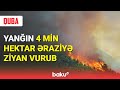 Qubada yanğın 4 min hektar əraziyə ziyan vurub - BAKU TV
