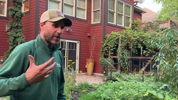 Thriving Food Forest  | Autumn Foodscape Tour