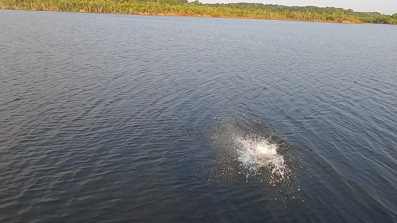 Goose creek reservoir top water bass fishing