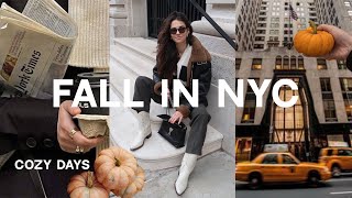 a very cozy fall weekend in nyc 🍂 by Elena Taber 77,411 views 6 months ago 13 minutes, 25 seconds