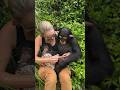 Chimp loves his new baby sister #chimp #chimpanzee #baby #cute #babygirl