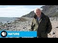 Jurassic Era Mystery Exploration