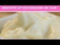 See How Mayonnaise Can Help Your Hair - Benefits of Mayonnaise on Hair | Zaineey Health