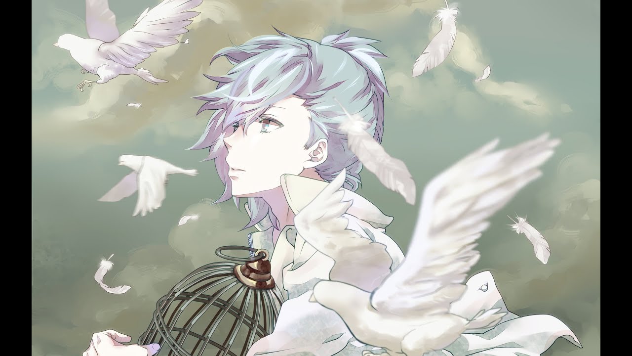 самая красивая белая птица. светлая эстетика. полет белой птицы. птицы белые мальчики. красивые белые птицы.