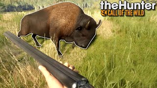 Walka z bizonem | theHunter: Call of the Wild (#64) screenshot 2