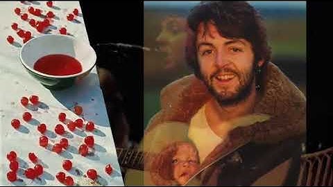 The LSB Experience promo video