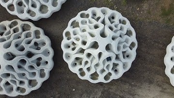 How this artificial reef boosts biodiversity and breaks waves