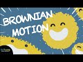 Brownian motion explaining lifes randomness