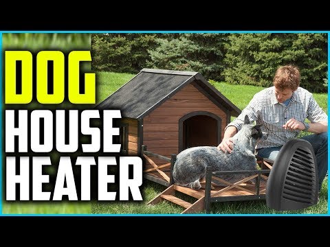 Top 5 Best Dog House Heater in 2020