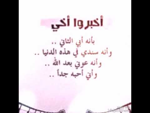 عزوتي تويتر