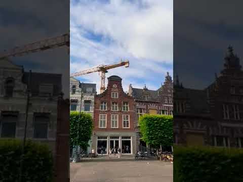 Video: 11 vrhunskih turističkih atrakcija u Haarlemu