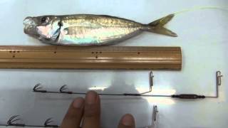 アオリイカ釣り アオリイカの釣り方 ヤエン釣りのコツ ヤエン釣り ウキ釣り 初心者 ファミリー 海釣り入門 南紀和歌山の釣太郎