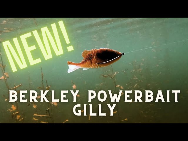 Check Out The NEW Berkley Powerbait Gilly 