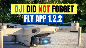 Mavic Mini DJI Fly App Update 1.2.2 for Android & iOS