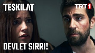 Tuzağı Öğrenen Ekibin Riskli Planı! - Teşkilat 11. Bölüm