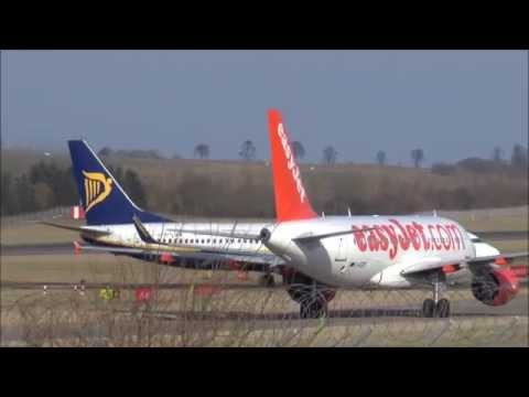 Spotting at Edinburgh (15 and 17.2.15)