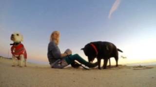 Flipagram - October 16, 2016