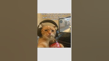 Become fluent in German through AirLearn.#languageeducation #airlearn