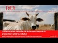 Conférence de la Chaire Politiques de modernisation agricole en Afrique au Sommet de l’élevage.