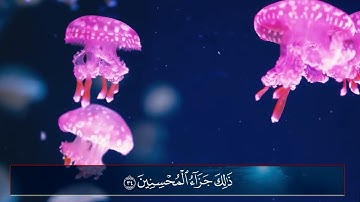سورة الزمر بصوت القارئ أسامة سيار