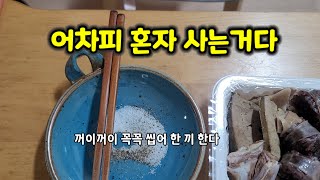 다시 혼자다 (아들 독립_나로 부터)