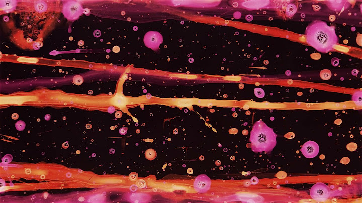 ОТ/ДО // FROM/TO