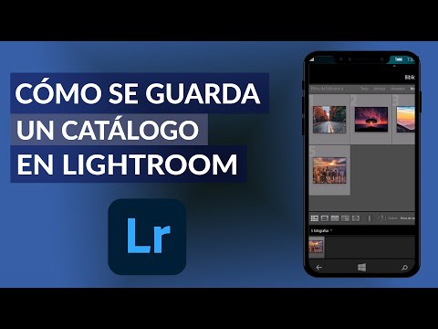 ¿Cómo se guarda un catálogo en LIGHTROOM? - Exportar fácilmente tus imágenes