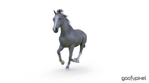 3D Horse Animation - Gallop