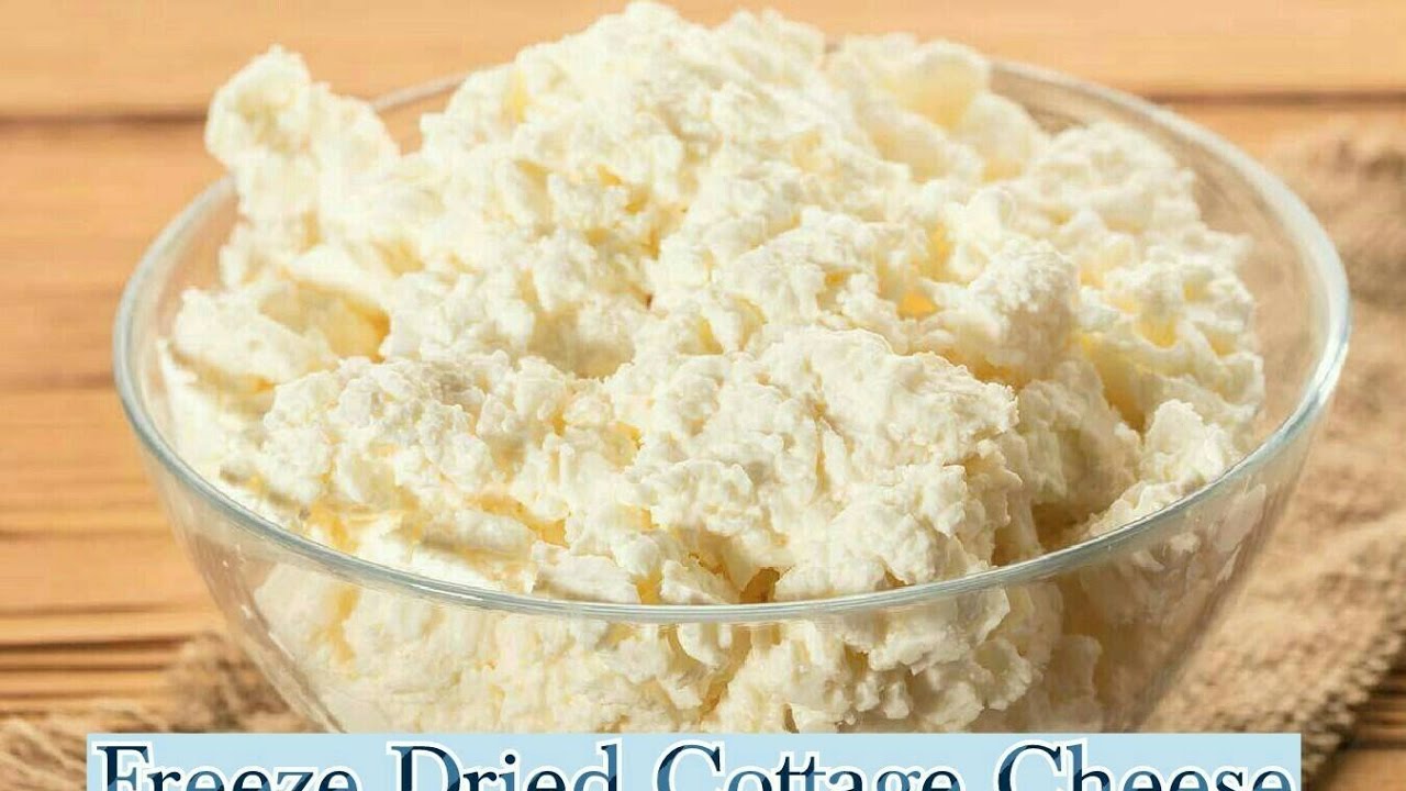 Cottage Cheese Dairy Freeze Dried In My Harvest Right Freeze Dryer