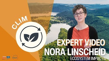 Ecosystem impacts explained by Nora Linscheid | CLIM