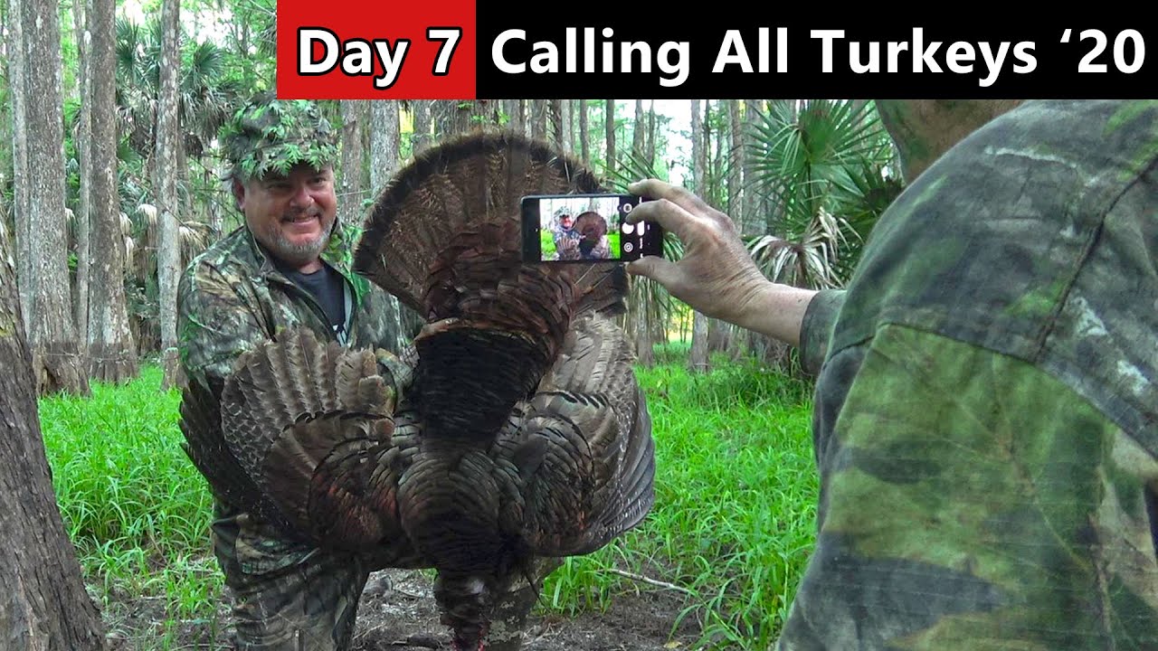 BlackWinged, Public Land Osceola Florida Turkey Hunting YouTube