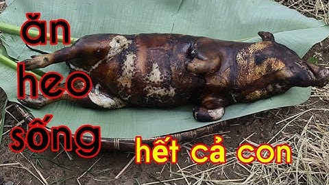 KỲ LẠ với PHONG TỤC ăn HEO S.ống  nguyên con của người MƠ NÔNG trong TÂY NGUYÊN