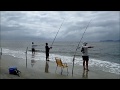 Pesca de praia em Ilha Comprida 2014