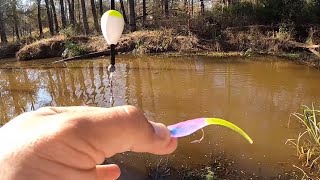 Creek CRAPPIE On EVERY Cast‼️ ONE PROBLEM‼️ Creek CRAPPIE Fishing From The Bank