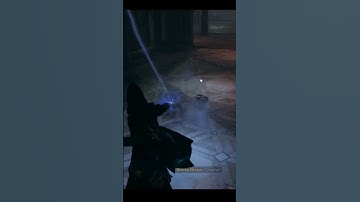 What Happens if you try accio on a cat in hogwarts legacy😂