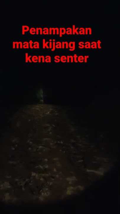 Menyenter Mata Kijang Berburu malam Mas Bro