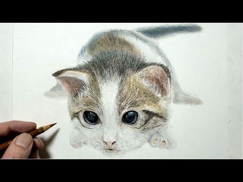 色鉛筆でネコを描いてみた 子猫編 Realistic Colored Pencil Drawing Of A Kitten Youtube