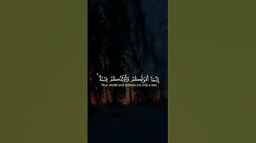 #طارق_محمد #القرآن_الكريم #آيات #ارحقلبك #راحة_نفسية #اكسبلور