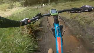 harrisons ride dalby forest