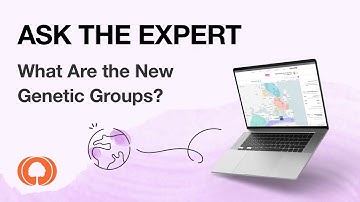MyHeritage Ask The Expert - Genetic Groups