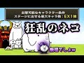 狂乱のネコ　出撃制限１体(EXのみ) にゃんこ大戦争