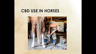 How CBD Can Help Your Customers, Their Horses and You [Digital Demonstrations]