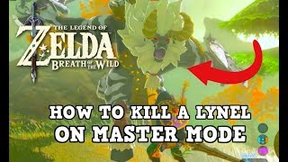 I Finally Defeated a Lynel in Master Mode in Breath of the Wild