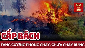 Hà Giang tăng cường các biện pháp cấp bách phòng cháy, chữa cháy rừng | Tin ANTT - KINH TẾ   XÃ HỘI