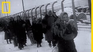 Auschwitz : le camp de l'horreur nazie