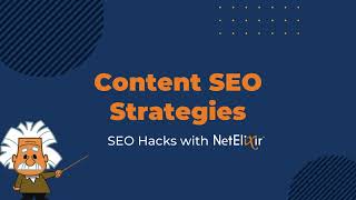 Seo Content Strategy Netelixir