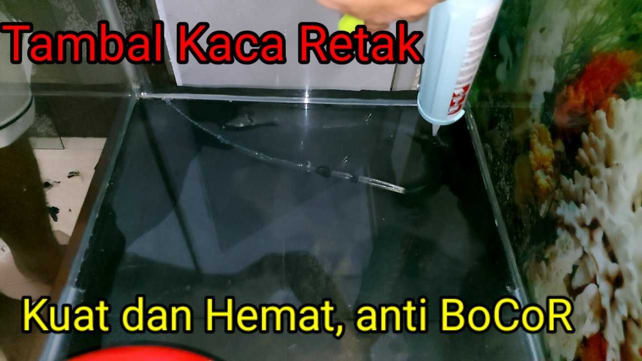 Perbaiki Aquarium, Tambal Kaca Retak Cepat dan Kuat