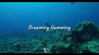 Nasheed - Dreaming Humming