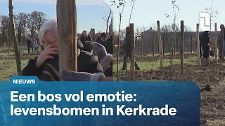 Download Lagu Vierde levensbomenbos in Kerkrade geplant | L1Nieuws MP3