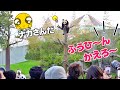 「ふうひんかえろ〜」パンダ飼育員さんの声に即反応😉1mmも寄り道せず走って帰宅(笑)